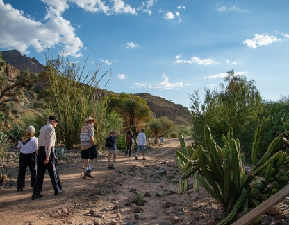 group walking through Wallace Desert Garden