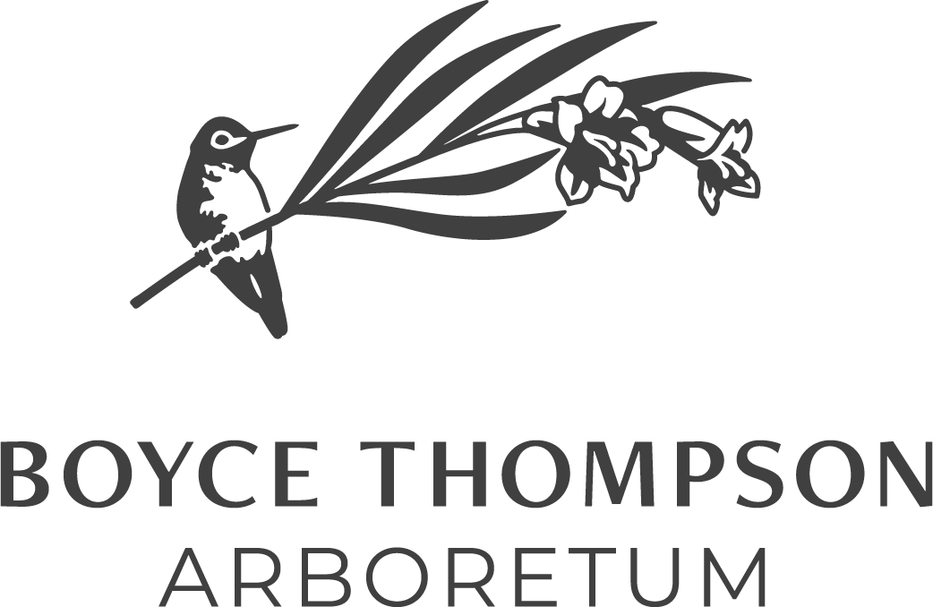 Logo Image for Boyce Thompson Arboretum