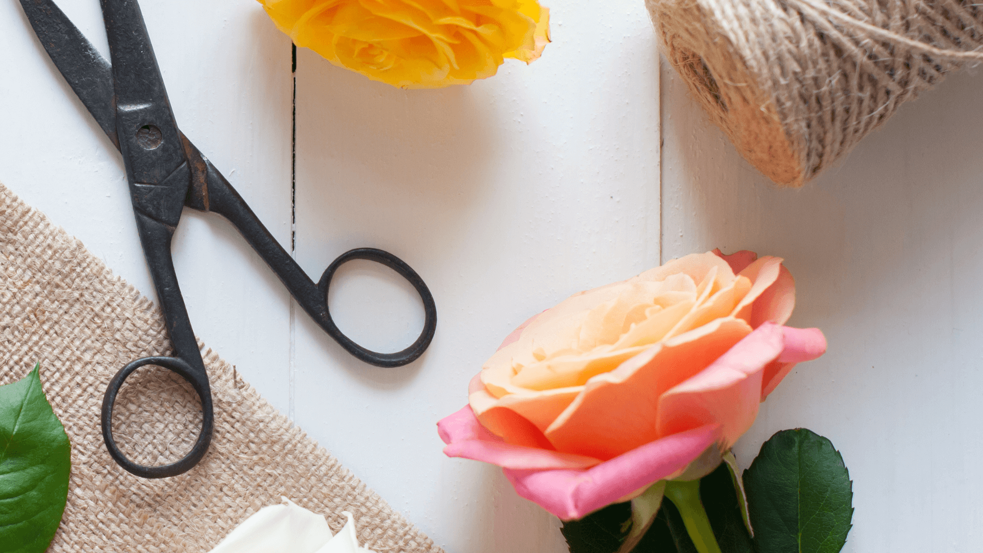 Roses, scissors, and twine on a table