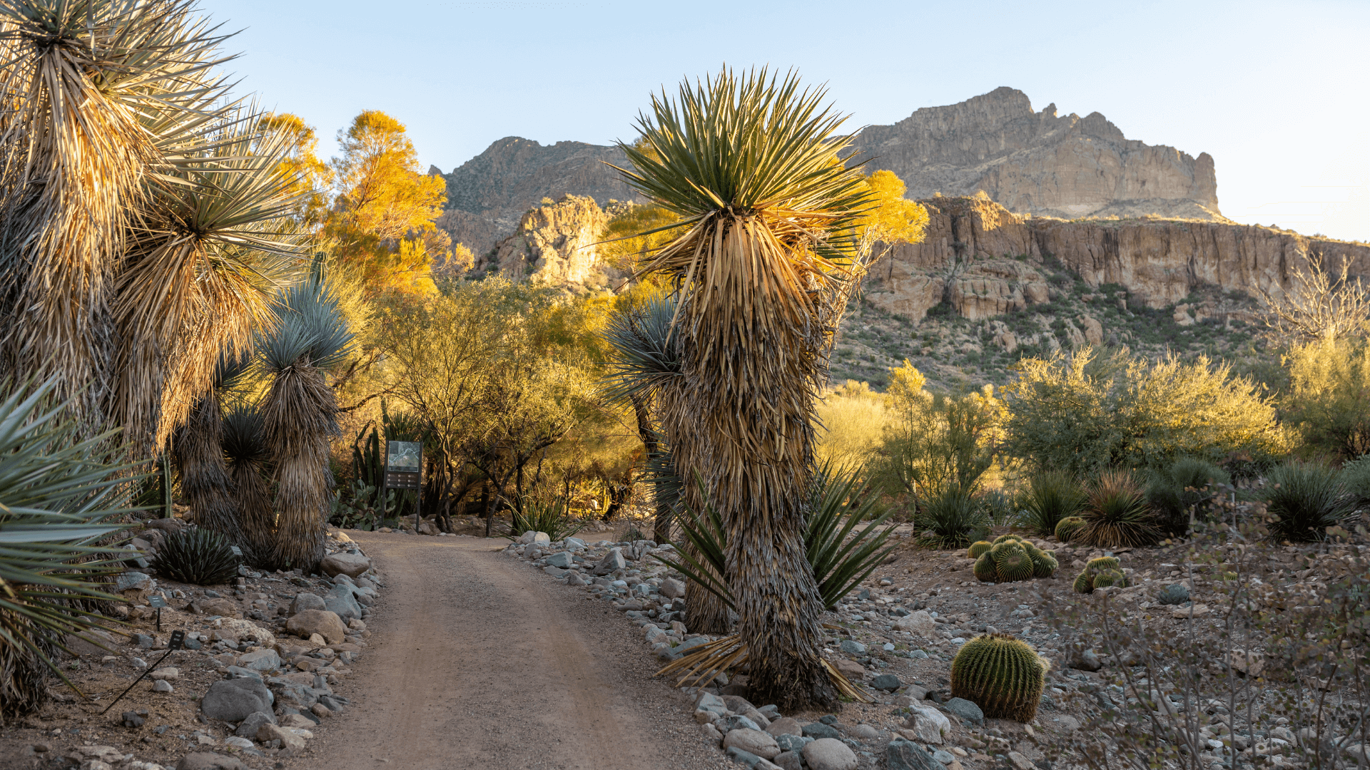 Trail at the Wallace Garden in Boyce Thompson Arboretum at sundown