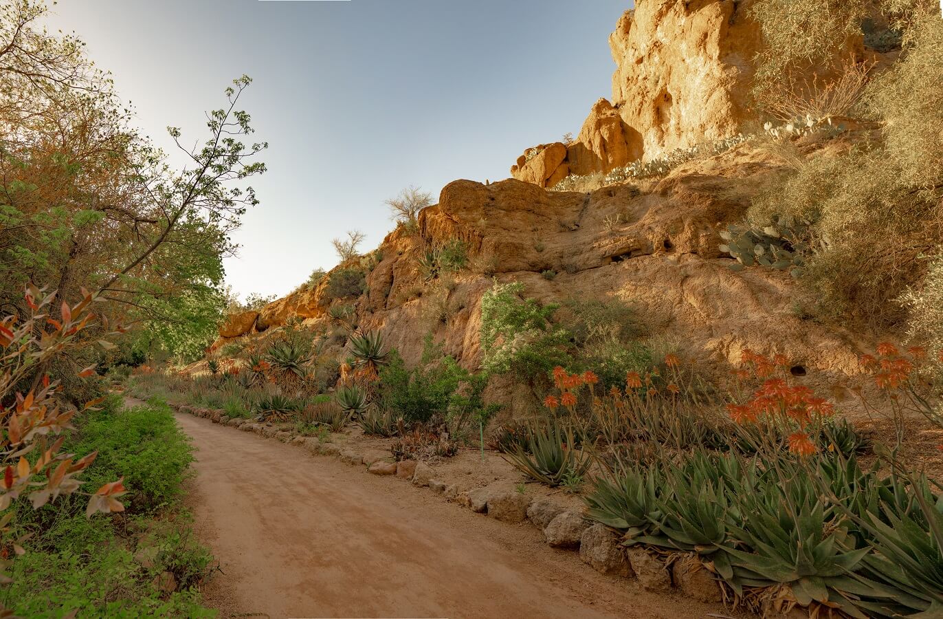 South Africa trail at Boyce Thompson Arboretum