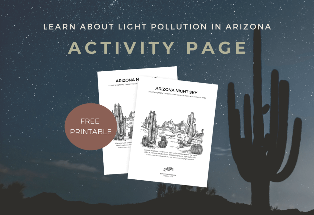 Arizona night sky light pollution activity page for kids, free printable