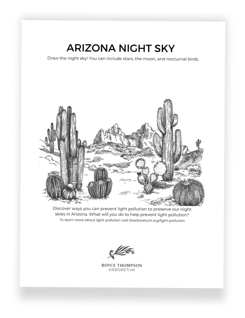 Arizona Night Sky - Light Pollution Activity Page for Kids