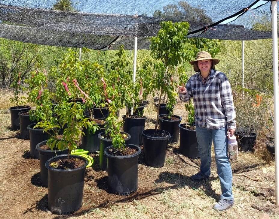 Researcher Annie Weaver-Bryant with trees at Boyce Thompson Arboretum