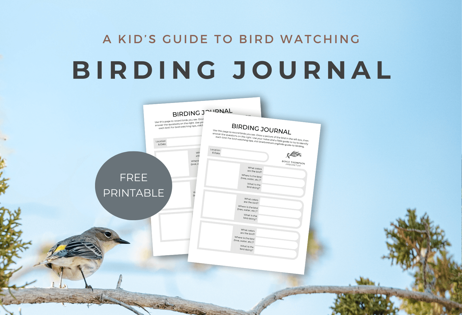 A Kid's guide to birdwatching. Download a free birding journal.