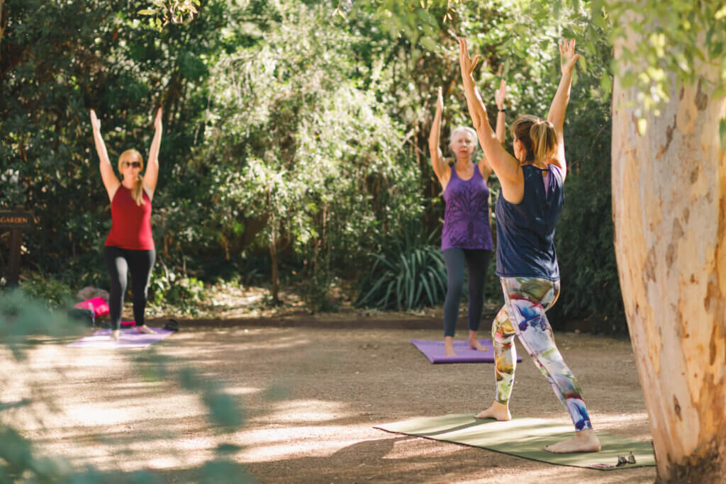 three people doing yoga poses outside on yoga mats