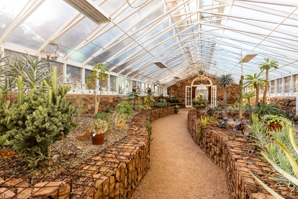 pathway in greenhouse with succulents