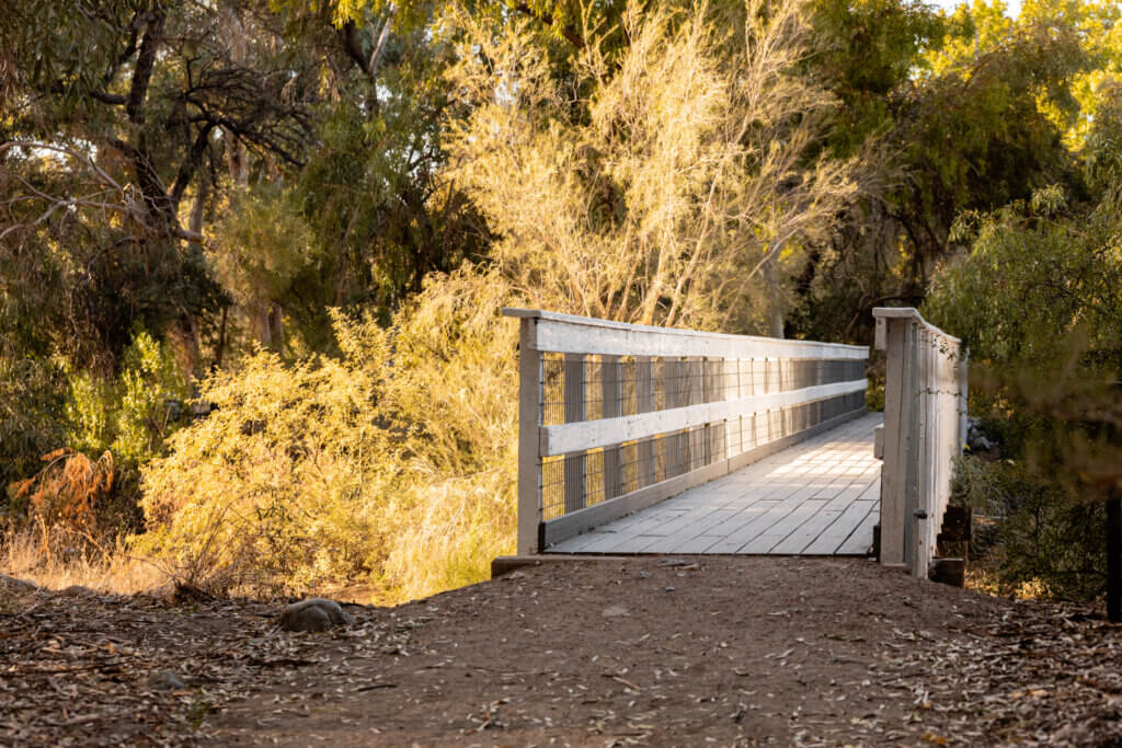 white bridge on desert trail