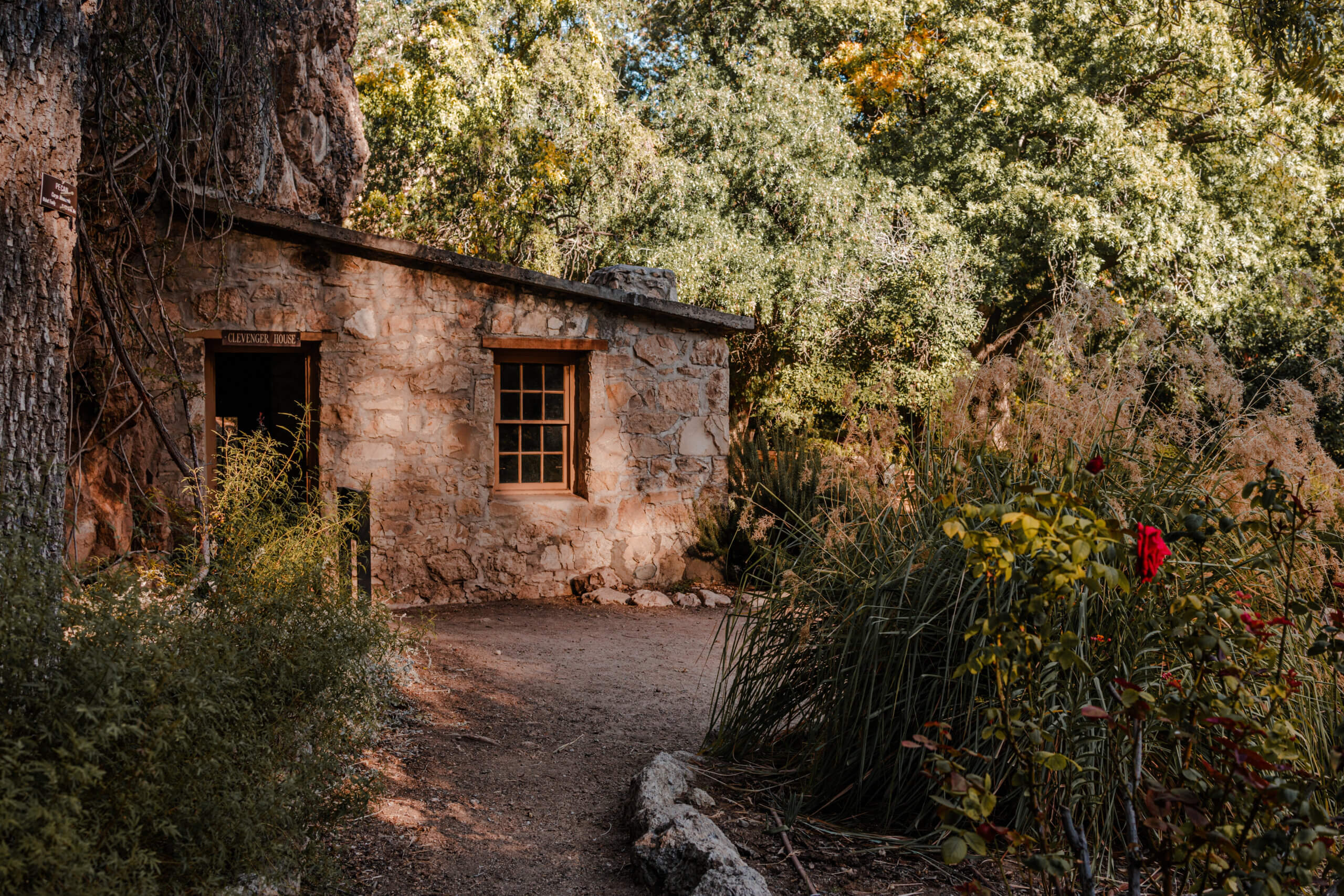 historic building among plants in Arizona