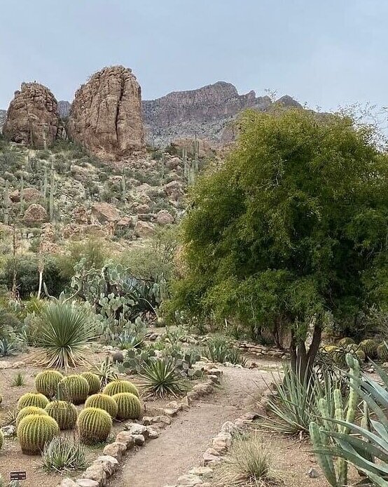 Arboretum Discovery Tour