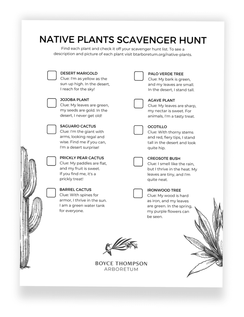 Native Plants Scavenger Hunt Activity Page