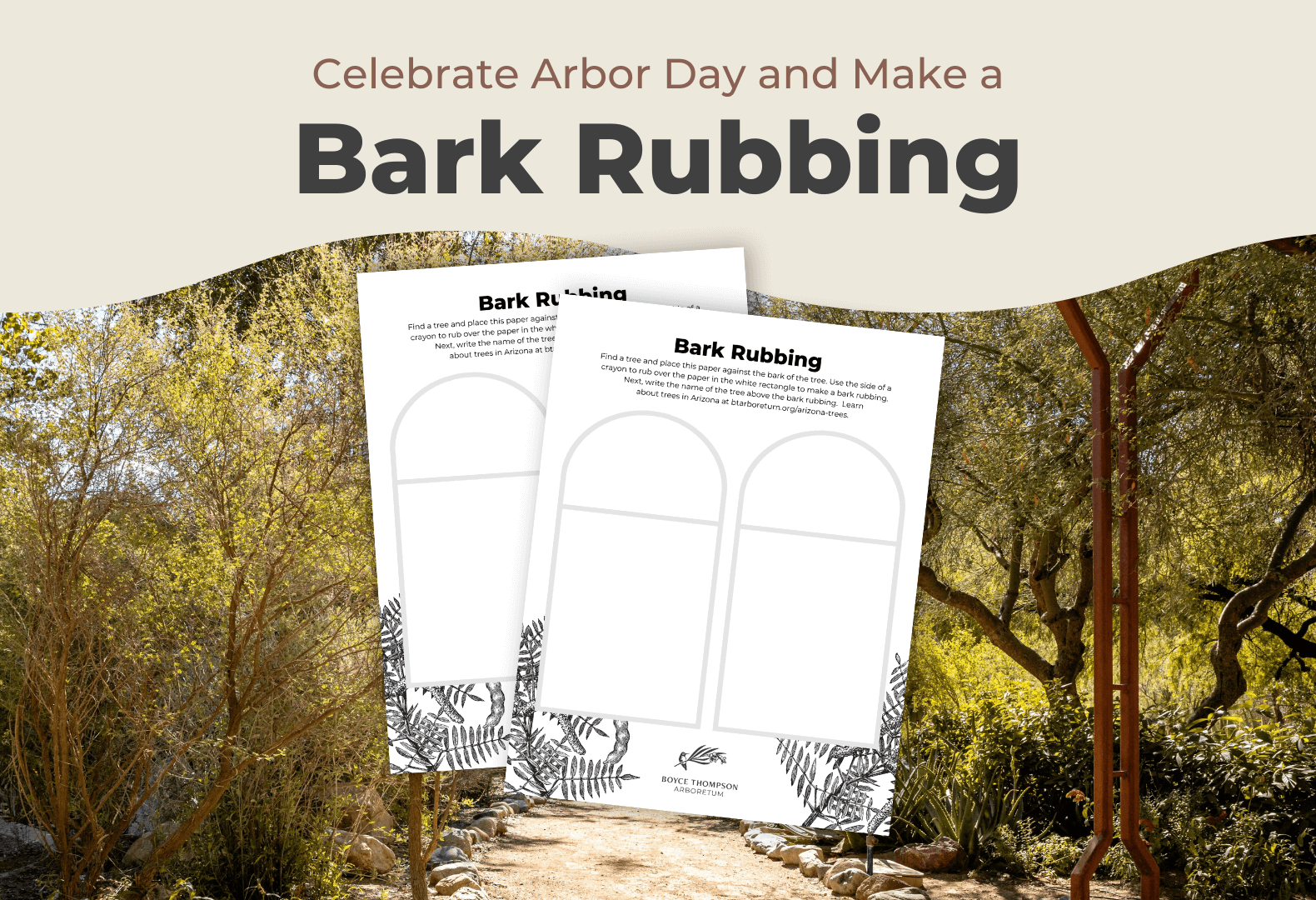 Celebrate Arbor Day and Make a Bark Rubbing