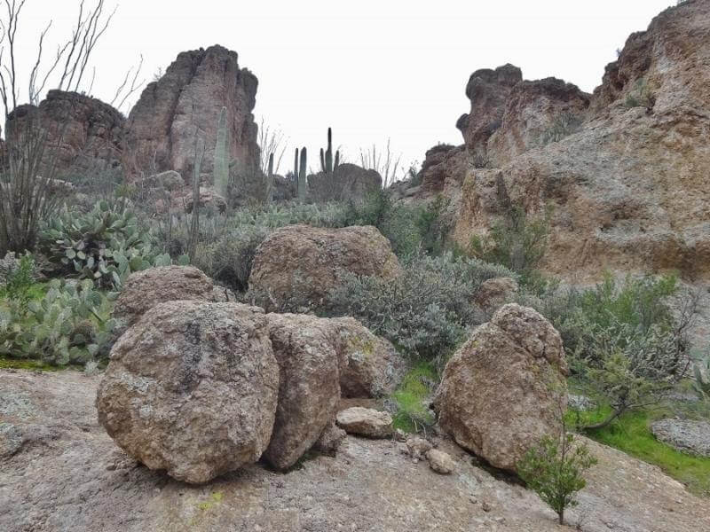 Geology Walk